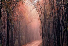 球员因病缺席比赛同队合作推进：逆境中绽放的团队力量