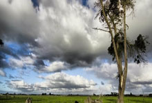 重庆力帆队主场取胜，临近冲击前列