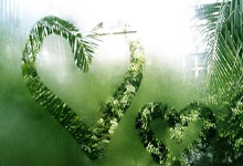 灰熊队新秀表现风生水起，引起球迷热议