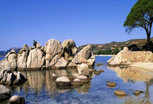 热那亚主场挫败乌迪内斯，稳定排名