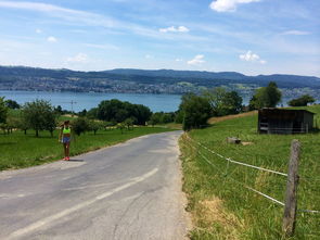 乐鱼体育app-“缆绳滑水：东桃花岛赛场呈现全新水上运动魅力”